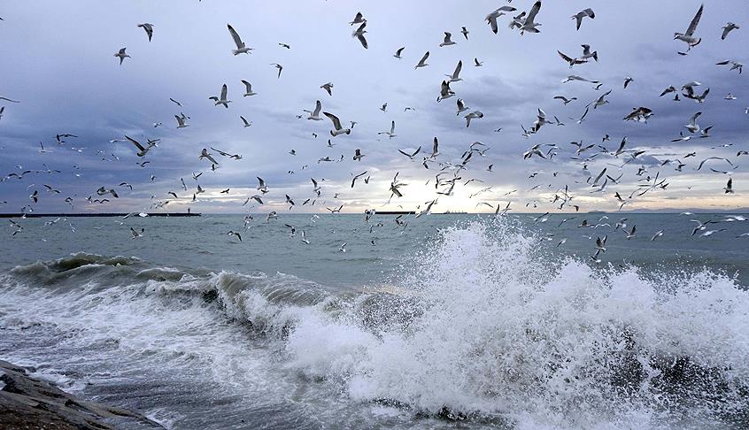 Marmara Denizi'nde ulaşıma lodos engeli