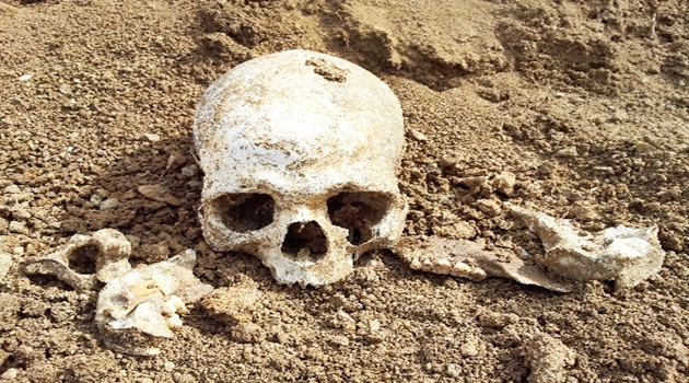 Tunceli'de ormanlık arazide insan kemikleri bulundu