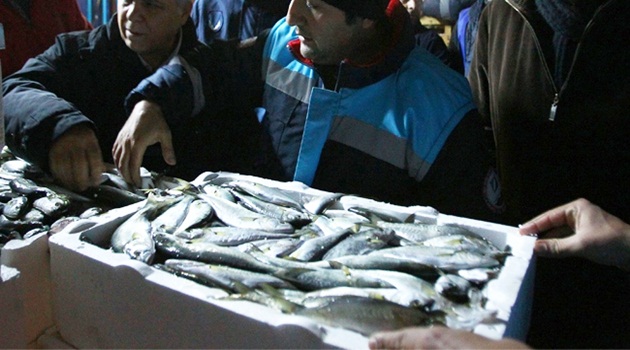 Sıkı denetim Balık hallerine