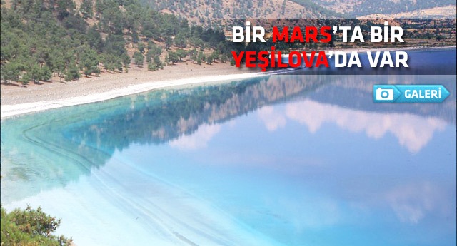 Bilim adamları sırrını araştırıyor