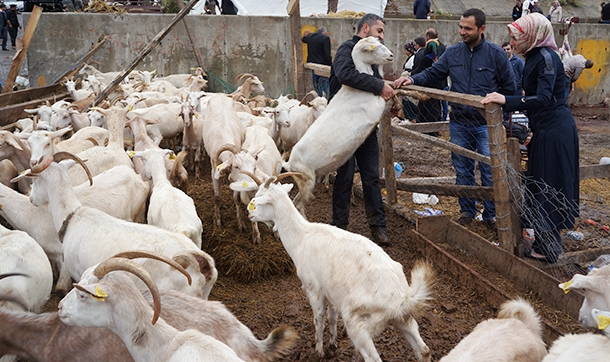 Kurban pazarlarında son gün hareketliliği