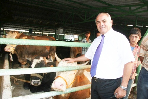 Saman fiyatları arttı, kurbanlıklar pazara indirimle geldi