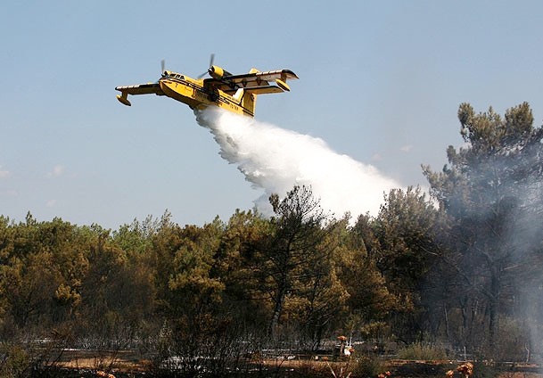 Hatay'da orman yangını