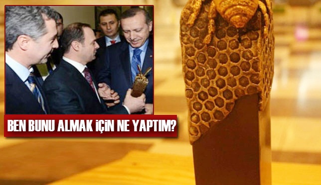 Başbakan Erdoğan'ı şaşkına çeviren ödül