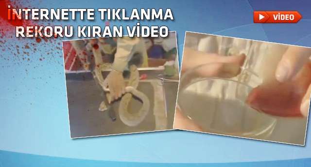 Yılan zehri, insan kanını bakın ne hale getiriyor