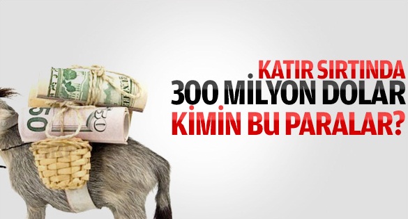 Suriye'den Türkiye'ye katırlarla dolar akıyor!