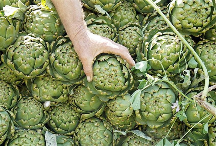 Enginarın faydaları saymakla bitmiyor