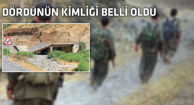 Beytüşşebap'a saldıran teröristler de o ülkeden!