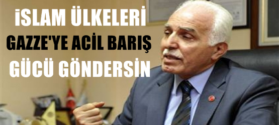 İslam Ülkeleri Gazze'ye Acil Barış Gücü Göndersin