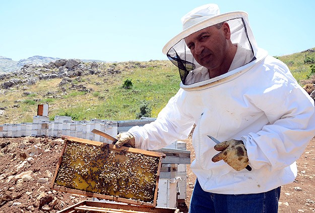 Hobi amaçlı başladığı arıcılıkta dünya ikincisi oldu