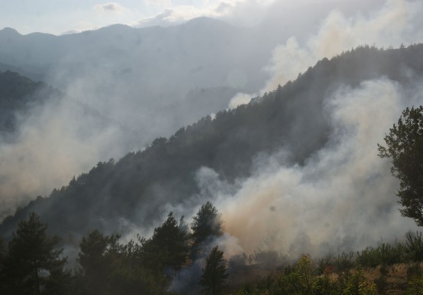 Kahramanmaraş'ta orman yangını