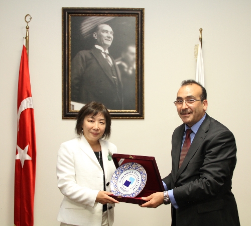 ABD'li öğretim üyeleri: Türkiye, Avrupa ve Ortadoğu'nun parlayan yıldızı