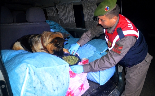 Adana'da 155 kilo esrar ele geçirildi