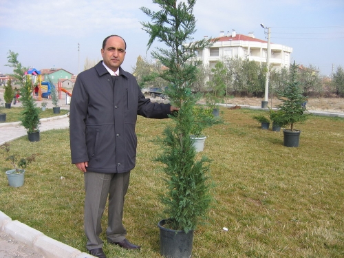 Aksaray Belediyesi'nden ağaçlandırma çalışması