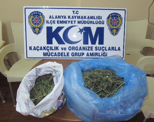 Alanya'da 760 gram esrar ele geçirildi