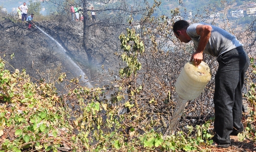 Alanya'daki orman yangını lüks villalara sıçramadan söndürüldü