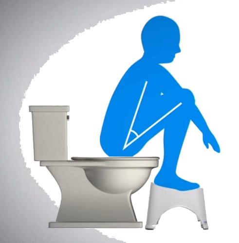 Amerika alaturka tuvaleti keşfetti