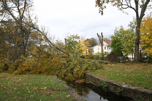 Amerika Sandy'den sonra yaraları sarmaya başladı