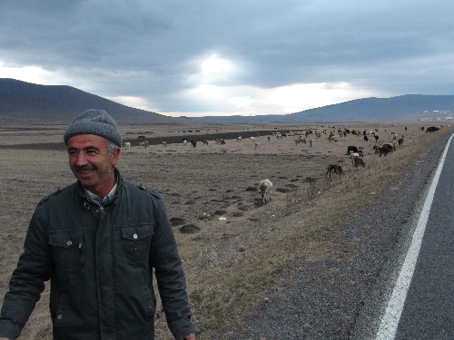 Ardahan'da geç gelen kar, besicileri sevindirdi