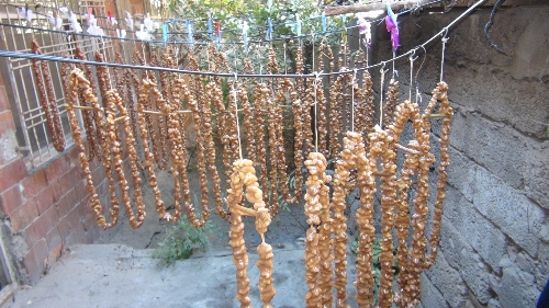 Bağbozumunda toplanan üzümden pestil ve cevizli sucuk yapılıyor