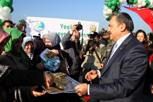 Bakan Eroğlu, önce faydasını anlattı sonra kestane dağıttı