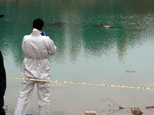Balık tutarken kadın cesedi buldular