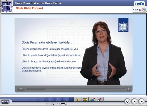 Bankalar Birliği'nden KOBİ'lere döviz dersi
