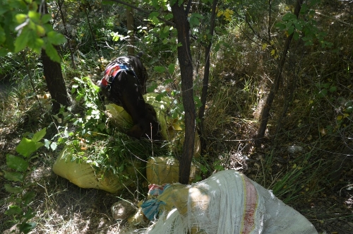 Başkale'de 124 kilo esrar ele geçirildi