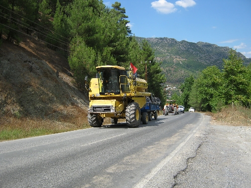 Biçerdöverler dar yollarda tehlike yaratıyor