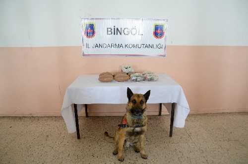 Bingöl'de 9 kilo esrar ele geçirildi
