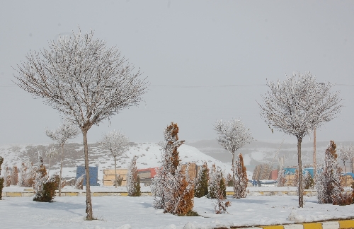 Bitlis'te havalar buz kesiyor