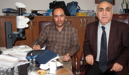 Biyolojik mücadelede kullanılabilecek 50 yeni böcek türü keşfedildi