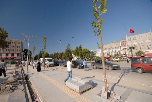 Büyükşehir belediyesi şehir merkezini ağaçlandırıyor