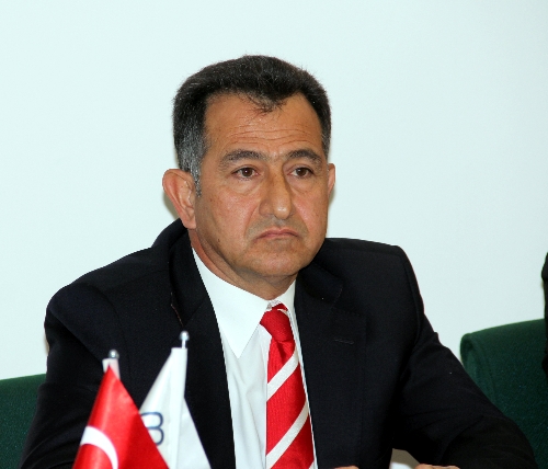 Çalı: 2013 yılı zeytin için patlama yılı olacak