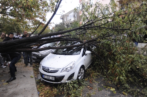 Çanakkale'de fırtına ağaçları devirdi