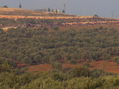 Çatışmalardan kaçan Suriyeli askerler Hatay'da