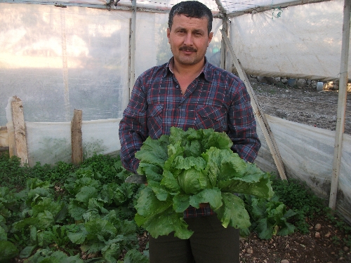 Çiftçiler seralarında sabaha kadar 'don' nöbeti tuttu