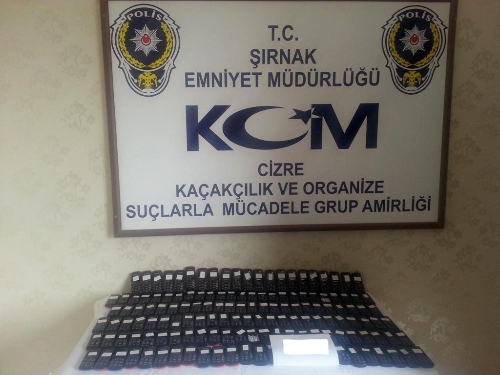 Cizre'de tarihi eser operasyonu