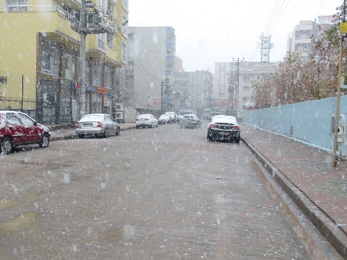 Cizre'ye yılın ilk karı düştü