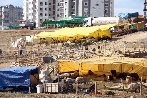 Çukurova'da kurban satış ve kesim yerleri belirlendi