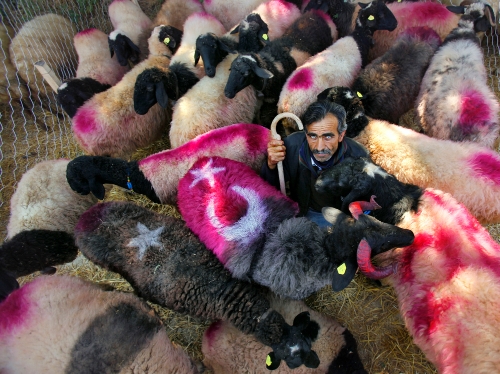 Denizli'nin kültürel güzellikleri fotoğraflarla belgelendi