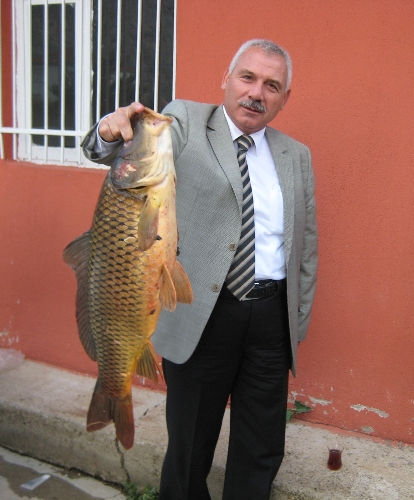 Eğirdir Gölü'nden Kovada Kanalı'na akan su kesilince balıklar elle tutuldu