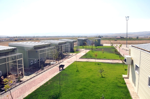 Eroğlu, Afyon'da hayvan barınağını açtı, kedi evleri projesini başlattı