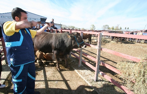 Erzurum'da kurban timi iş başında