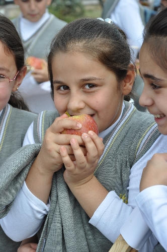 Erzurum'da 'Segirt Gardaş Segirt' yürüyüşü