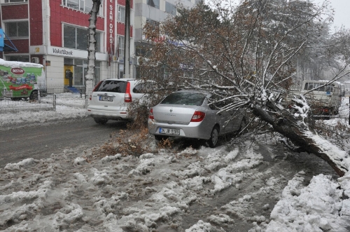 Fırtına, Tatvan'da ağaçları kökünden söktü, çatıları uçurdu