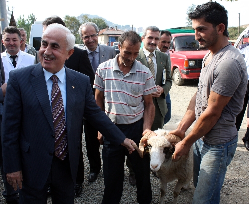 Giresun Valisi Şahin, kurban pazarını denetledi