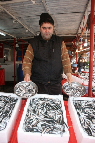 Giresun'da hamsinin fiyatı el yakıyor