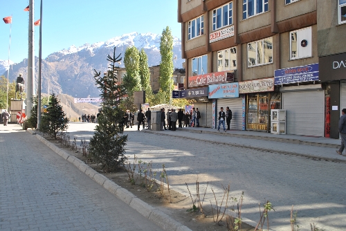 Hakkari'de baskıyla kepenk kapattırdılar