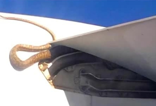 Havadaki uçağın kanadında dev piton yılanı!